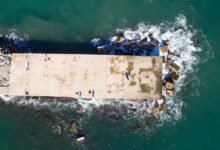 power bet 247 insights