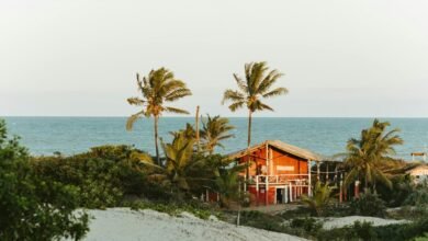 quemliga operation and details